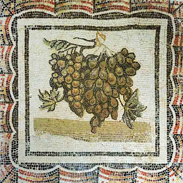 Bunch of white grapes, Roman mosaic (mosaic) a Arte Romana