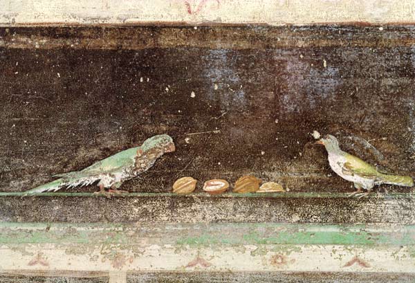 Birds eating nuts, detail from a tablinium decorated with Egyptian-style paintings a Arte Romana