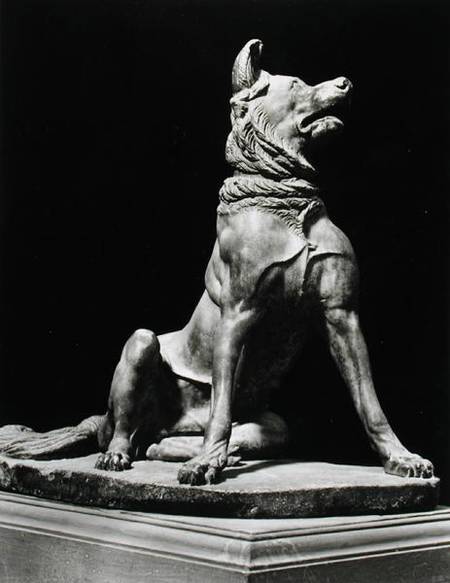 Bull Mastif Dog a Arte Romana