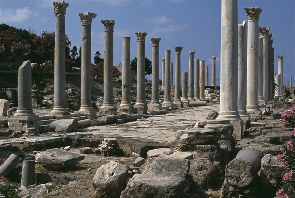 Colonnade (colour photo)  a Arte Romana