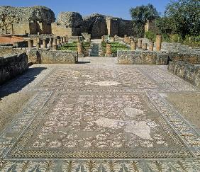 View of the ruins and a mosaic floor (photo) 