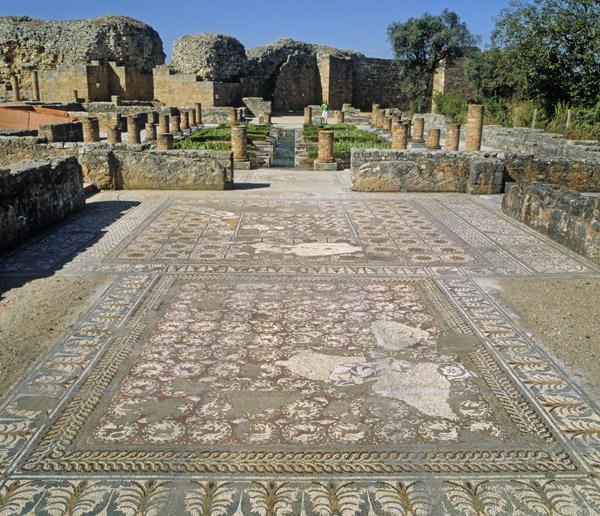 View of the ruins and a mosaic floor (photo)  a Arte Romana