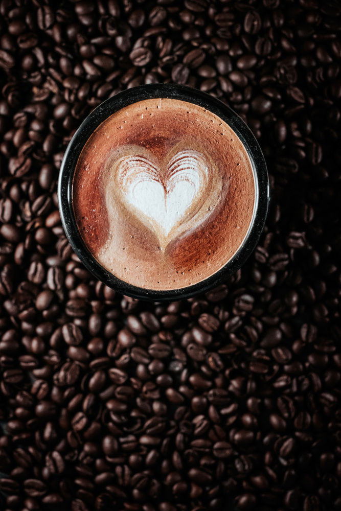 love latte a ronaldnovianus