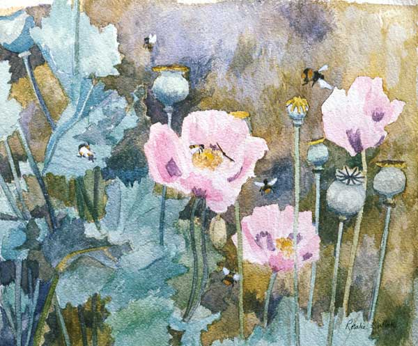 Pink poppies with bees (w/c)  a Rosalie  Bullock