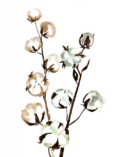 Watercolor cotton branch II