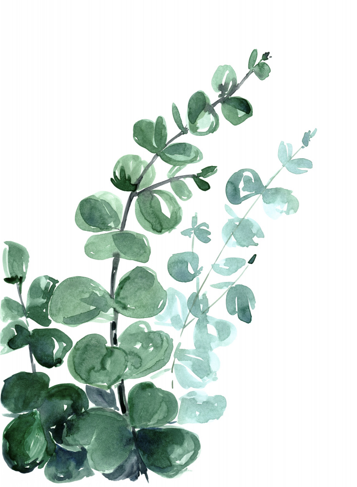 Watercolor eucalyptus bouquet a Rosana Laiz Blursbyai