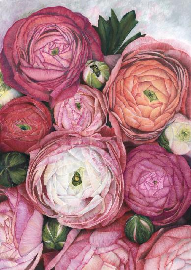 Arleth ranunculus bouquet in warm pink