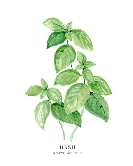 Basil I