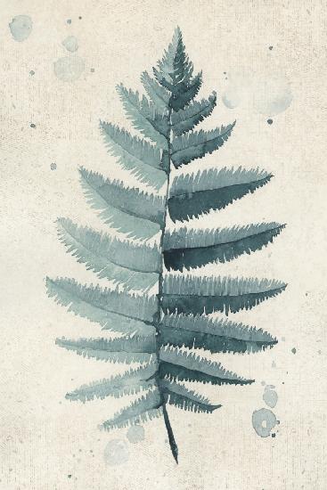 Teal watercolor fern 6