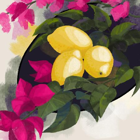 Bougainvillea and lemons