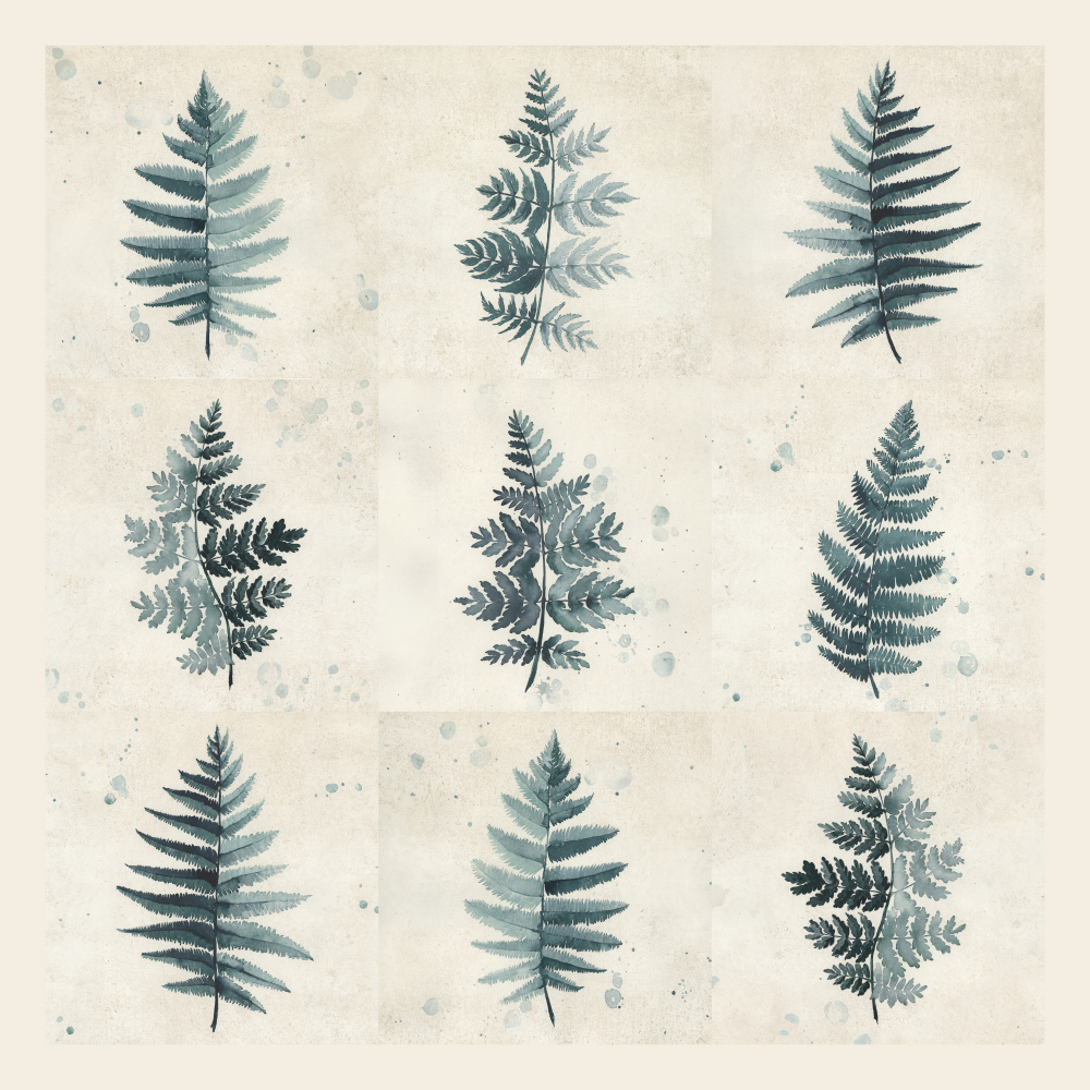 Nine ferns collage a Rosana Laiz Blursbyai