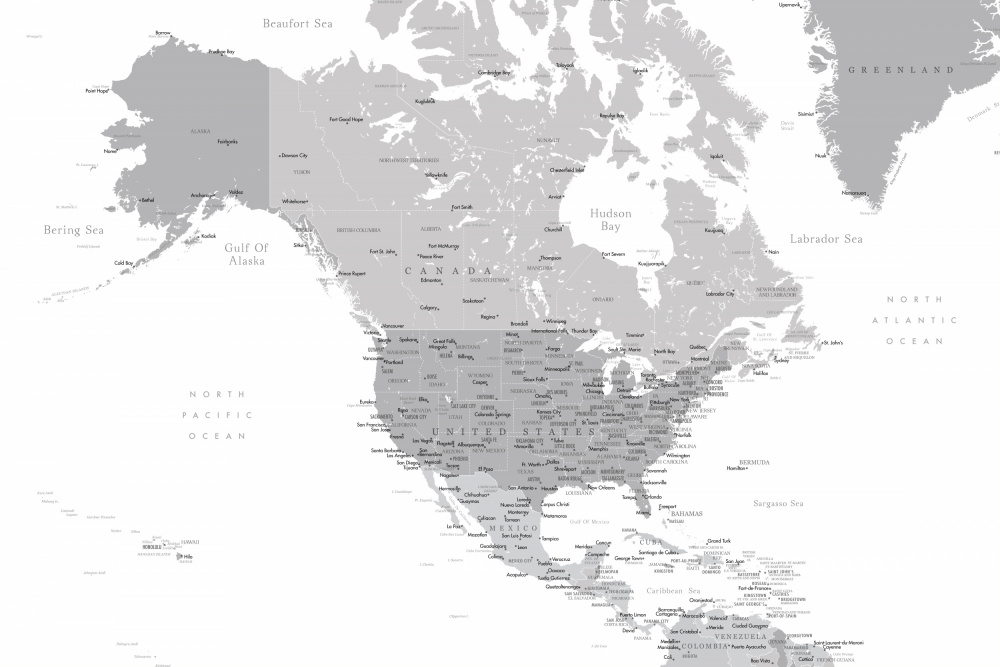 Gray map of North America with cities a Rosana Laiz Blursbyai