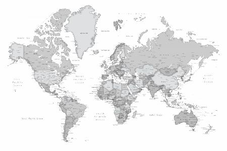 Gray world map with cities, Chas