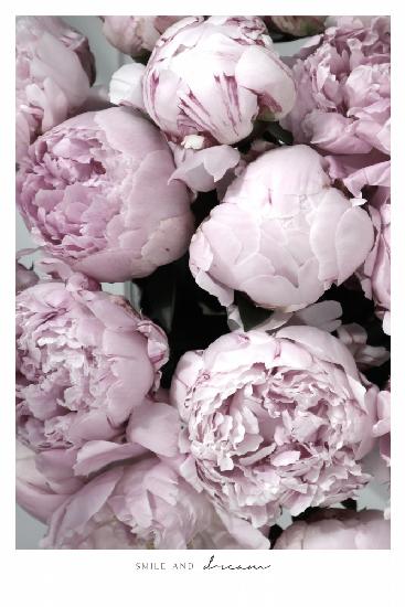 Smile and dream peonies