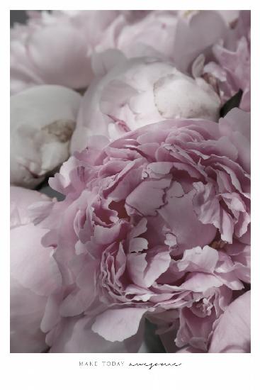 Make today awesome peonies