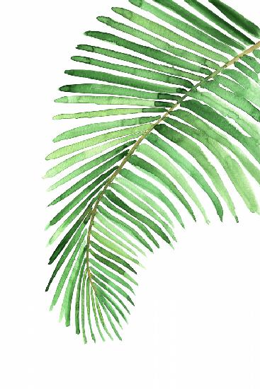 Palm leaf in loose watercolor