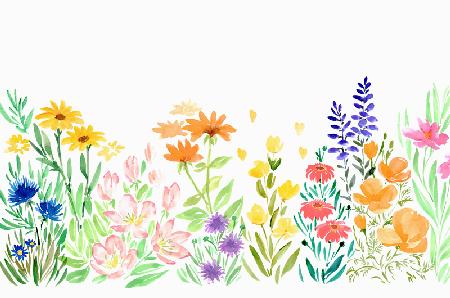 Watercolor wildflowers