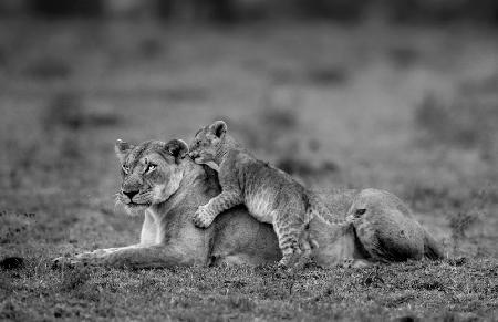 Playtime with mum