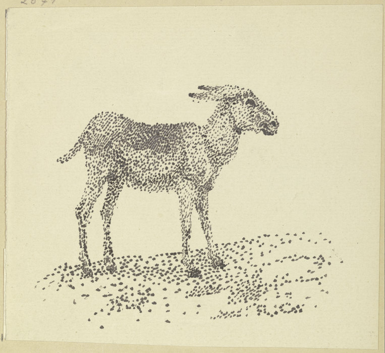 Donkey a Rudolf Gudden