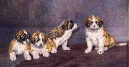 Puppies in Council a Rupert Arthur Dent