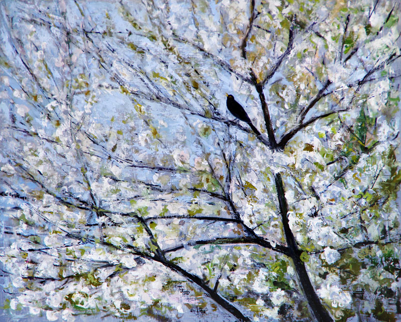 Blackbird Singing in Cherry Blossom a Ruth  Addinall