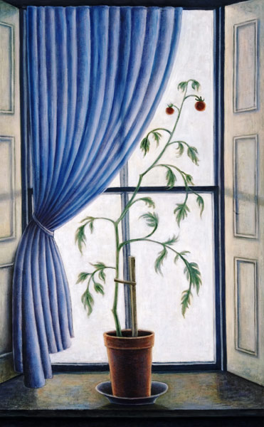 Plant in Window, 2003 (oil on canvas)  a Ruth  Addinall