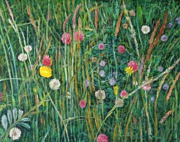 Plants of the Machair, 2008 (oil on canvas)  a Ruth  Addinall