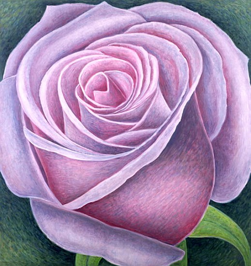 Big Rose, 2003 (oil on canvas)  a Ruth  Addinall