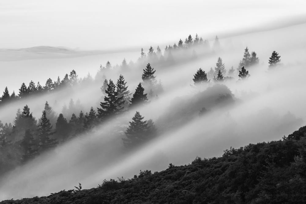 Flowing Fog a Ryan Li