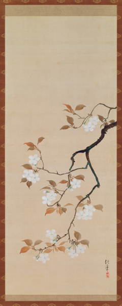 Hanging Scroll Depicting Cherry Blossoms, from A Triptych of the Three Seasons, Japanese, early 19th a Sakai Hoitsu