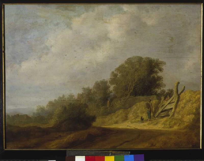Landscape with way a Salomon van Ruysdael