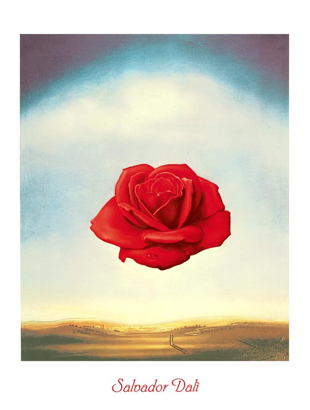 La rosa meditativa a Salvador Dali