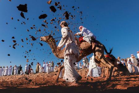 Camel Racing