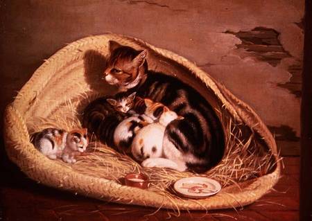 Cat with Her Kittens in a Basket a Samuel de Wilde