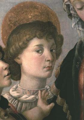 St. John from the Virgin and Child (detail of 44356) a Sandro Botticelli