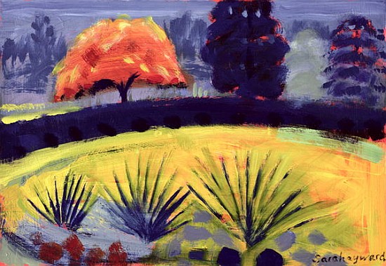 Botanical Gardens, Autumn (oil on card)  a Sara  Hayward