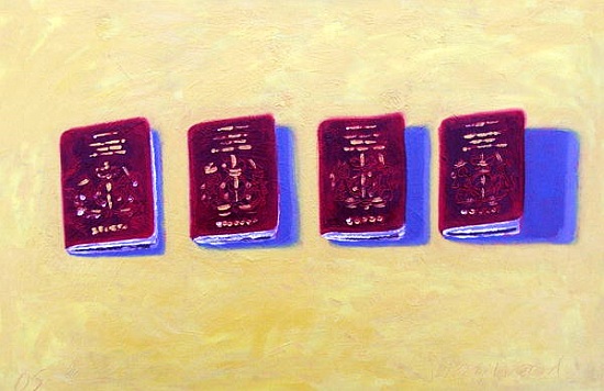 Four Passports a Sara  Hayward