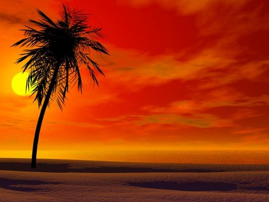 Tropical sunset a Sarah Holmlund
