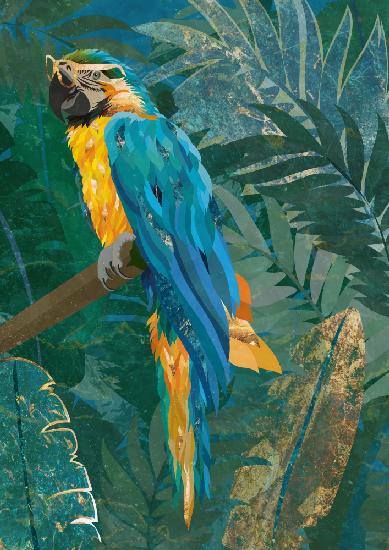 Blue parrot in the rainforest