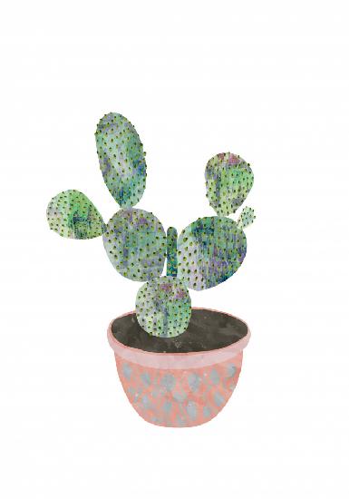 Boho scandi cactus 3