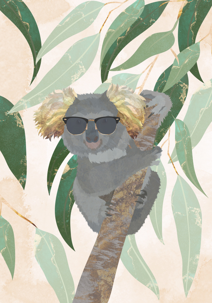 Cool Koala a Sarah Manovski