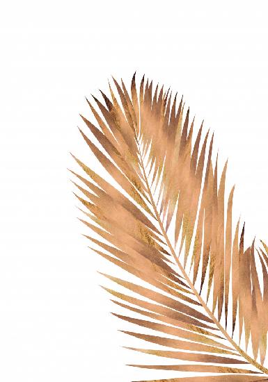 Copper Gold Palm Leaf 2