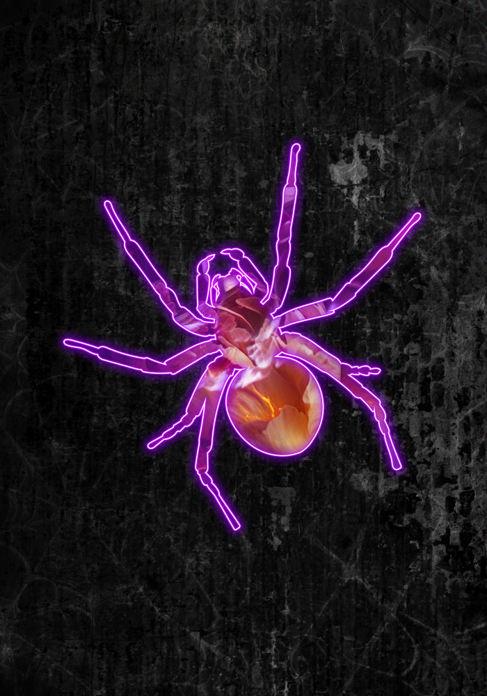 Neon halloween spider a Sarah Manovski