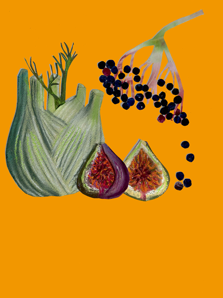 Fruit & veggies cutout a Sarah Thompson-Engels