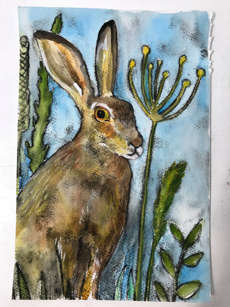 Hare with seed heads a Sarah Thompson-Engels