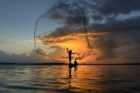 nets in sunset