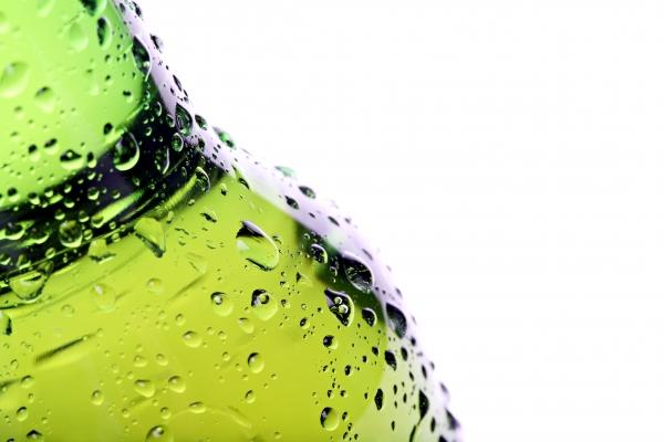 beer bottle with water droplets isolated a Sascha Burkard