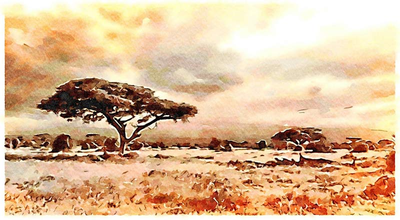 Afrikanische Landschaft a Saskia Ben Jemaa