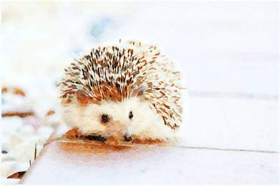 Igel I