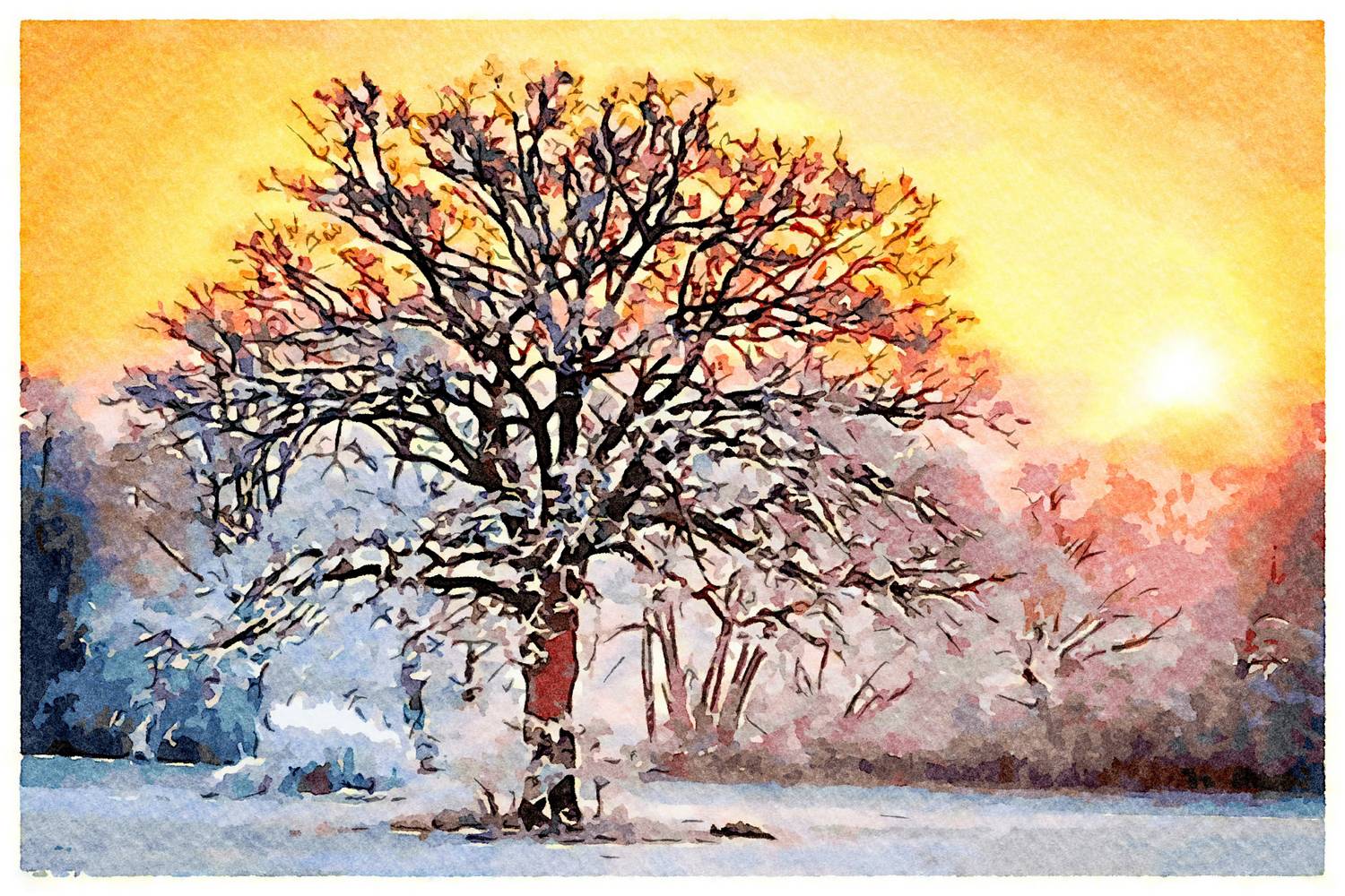 Baum im Sonnenuntergang a Saskia Ben Jemaa
